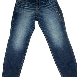 American Eagle Curvy Jegging Next Level Stretch